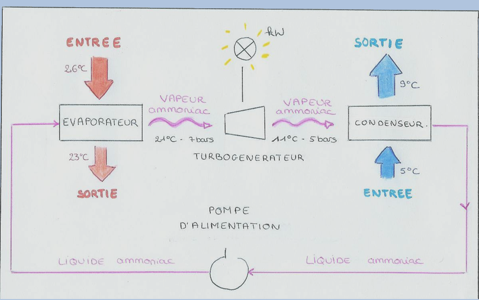 schema